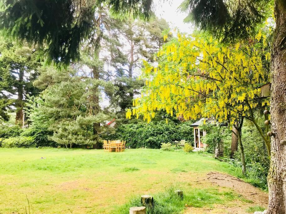 The Beeches Studio, Highlands Of Scotland Нютънмор Екстериор снимка