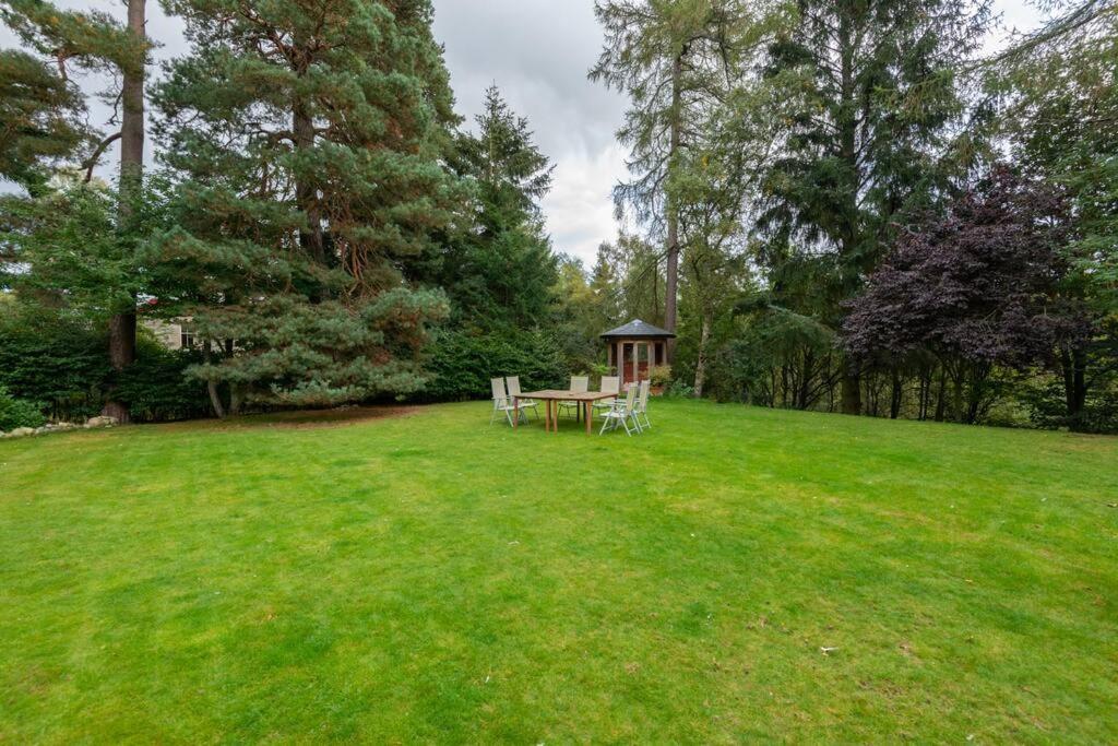 The Beeches Studio, Highlands Of Scotland Нютънмор Екстериор снимка