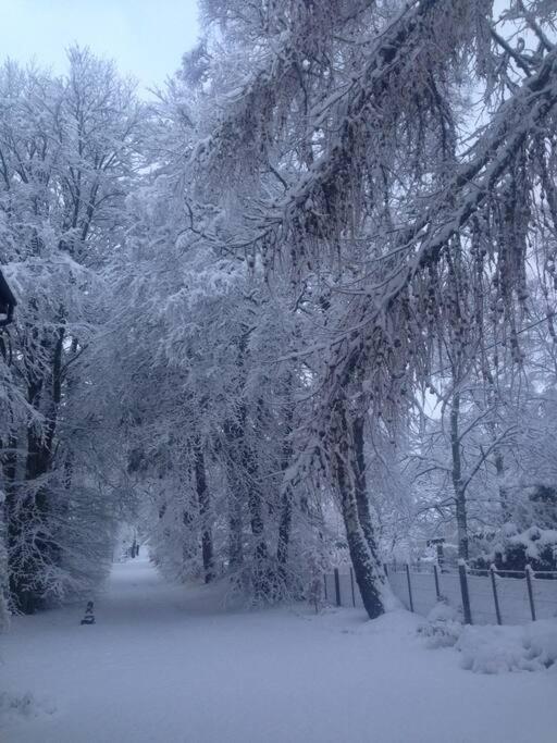 The Beeches Studio, Highlands Of Scotland Нютънмор Екстериор снимка