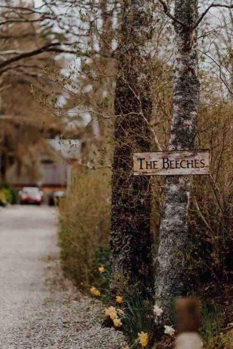 The Beeches Studio, Highlands Of Scotland Нютънмор Екстериор снимка