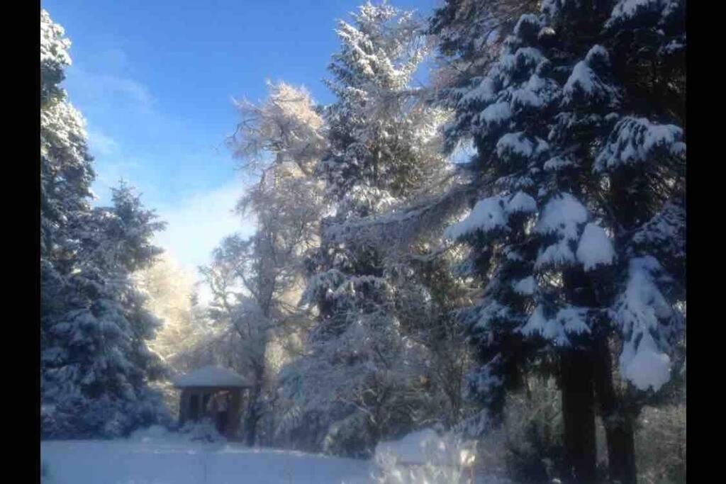 The Beeches Studio, Highlands Of Scotland Нютънмор Екстериор снимка