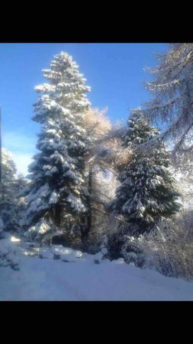 The Beeches Studio, Highlands Of Scotland Нютънмор Екстериор снимка